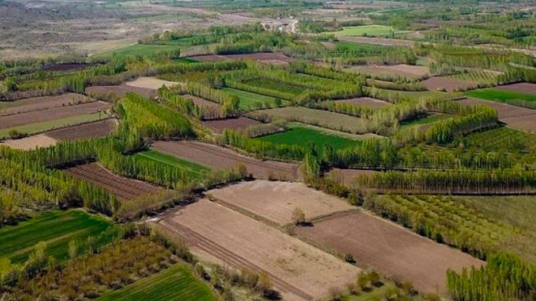 Sudan ucuza tapu sahibi olabilirsiniz! Milli Emlak’tan telefon parasına arsa satış 5